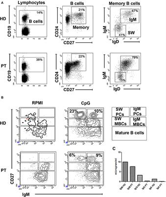 Rare TACI Mutation in a 3-Year-Old Boy With CVID Phenotype